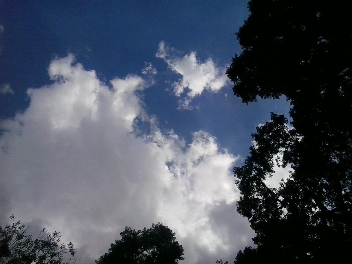 CookDreams's tweet photo. beautiful sky in Mexico City http://t.co/N7Wf6Nc1RL