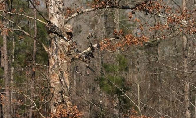 causewecountry's tweet photo. #CountryDiscussion 
Retweet for Bowhunting
Favorite for Rifle Hunting http://t.co/xIz8zjMdAp