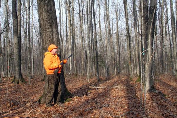 causewecountry's tweet photo. #CountryDiscussion 
Retweet for Bowhunting
Favorite for Rifle Hunting http://t.co/xIz8zjMdAp