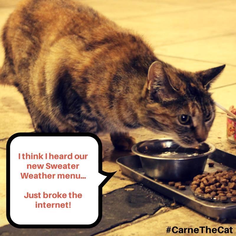 BobaBarSJ's tweet photo. #CarneTheCat says move over Kim Kardashian! #sweaterweathermenu #breaktheinternet #BobaBarSJ http://t.co/9K7ZCe7C0p