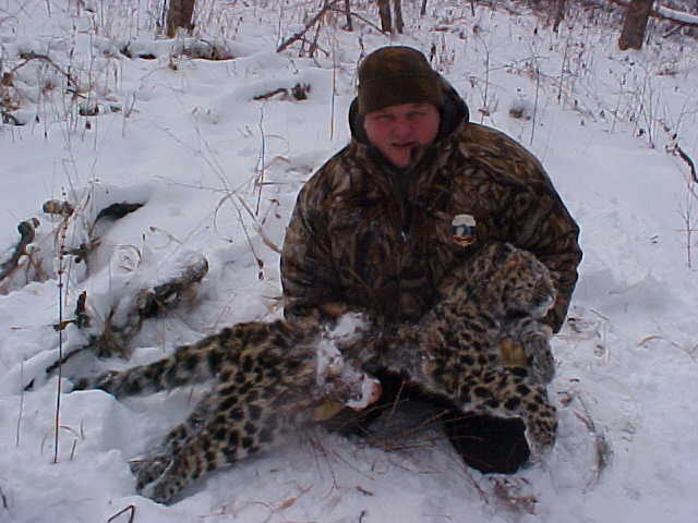 HelpTheLeopard's tweet image. End the poaching of Amur Leopards! #HelpTheLep