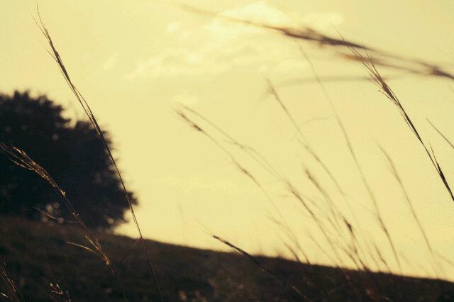 apicturesdream's tweet photo. Dreams. http://t.co/KPROZ0487Z
