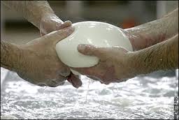 cheesemaking1's tweet photo. Mozzarella frauds, Italian factory caught using cow instead of buffalo milk, Caprese salad would just not be the same http://t.co/QLhHlvt95s