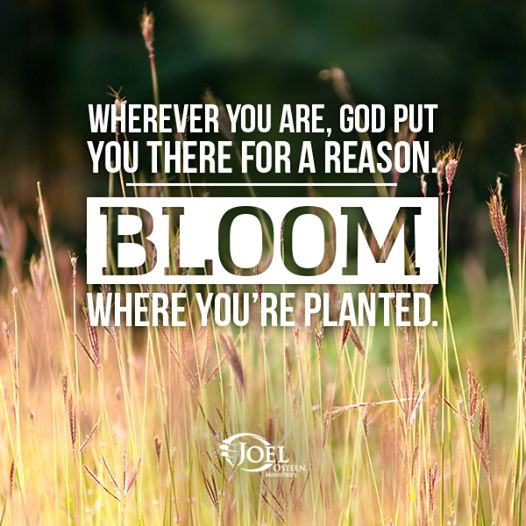 Today, Be a blessing!