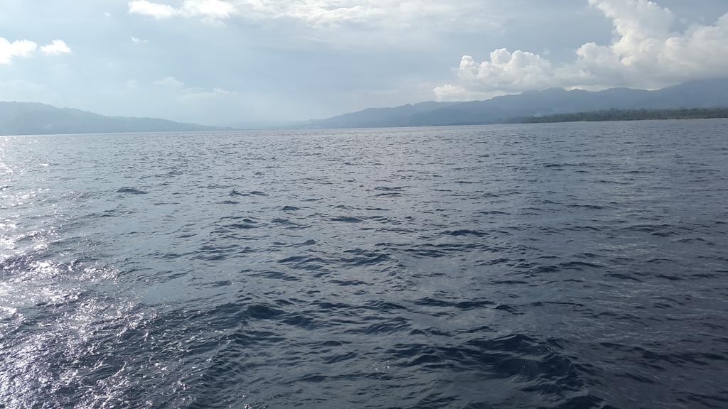 Skimpy Sailing tweet media