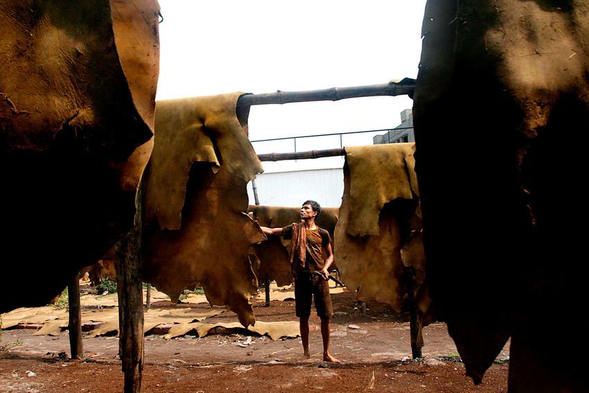Stunning photo serie of India's leather production buff.ly/11npI5Y