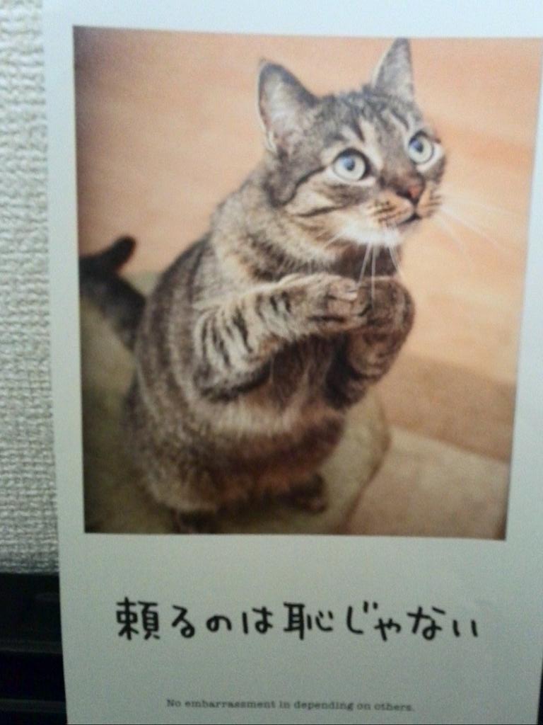 bigcenter1315's tweet photo. 皆さん、こんにちわ(>∀<●)(☆′Å`)ﾉ11月も半ばが過ぎちゃいましたね…
なかなか周りの人達に頼れない方もおられると思いますが、誰かに頼って、これから忙しくなる年末を乗り切りましょうね(๑• .̫ •๑)(○´∀`о｡ﾟヽ http://t.co/jWg5CYzHEU