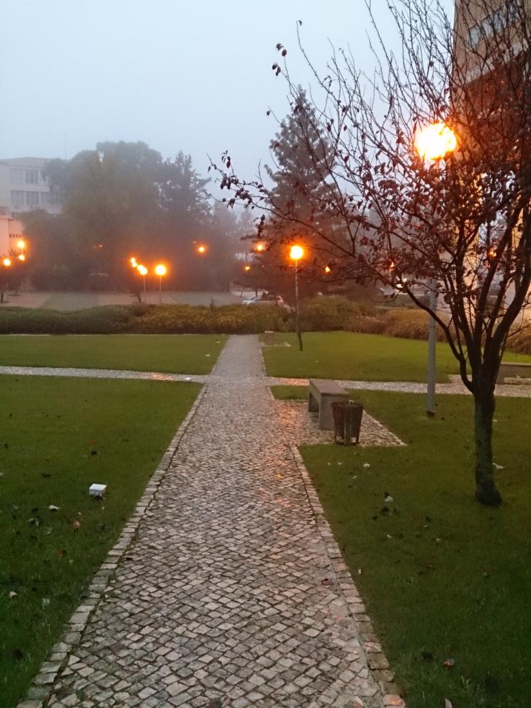 ChristopherTei1's tweet photo. Loving this weather. #foggy #rainy #cold #perfect. http://t.co/Re02nQ4bHX