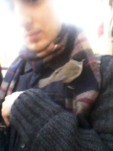 ainhoardgz's tweet photo. @XabidelYelmo no te ha salido bien la jugada eee te tengo a mi vera pico pala esperemos que el pajaro nos de suerte http://t.co/x2lUUE3xlr