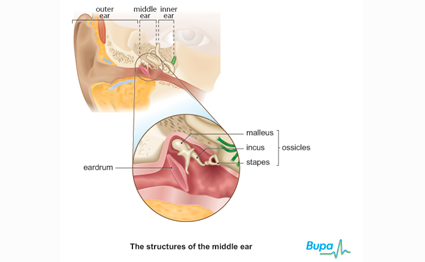 NationAfrica's tweet photo. LETTERS: What could be the cause of my son’s recurrent ear infections? http://t.co/IbwEz4nfIt http://t.co/y1QgHzUuhy