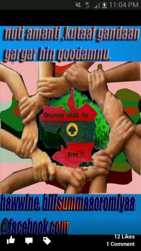 AshyaWabe's tweet photo. Tokkumma tokkumma tokkumma yaa ilmaan oromo tokkummaa http://t.co/2y5vhyXqlq