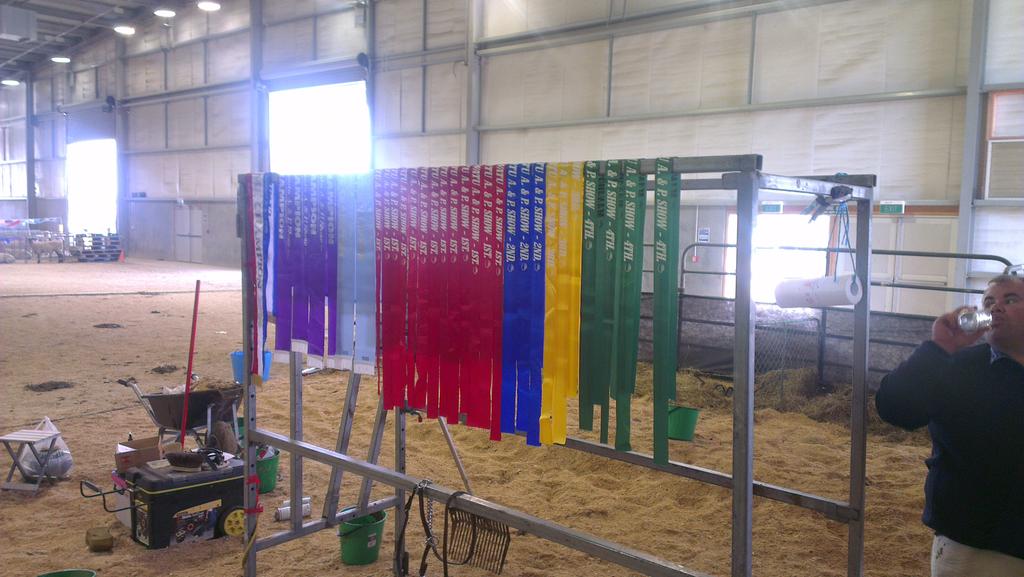 ToiToiGenetics's tweet image. New Zealand Royal event. We had an excellent show. Won every holstein class we entered into.