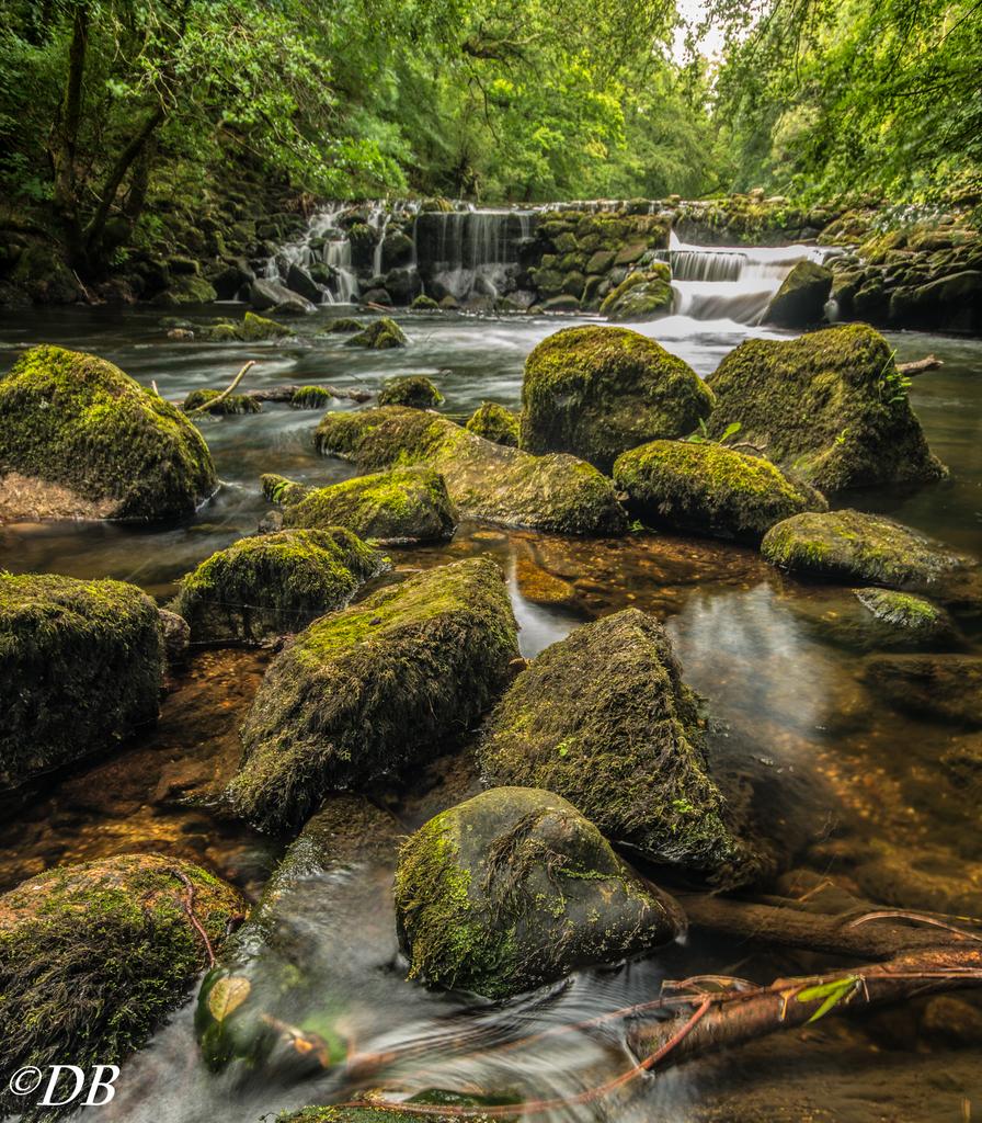 Bulk10Db's tweet photo. Fingle bridge #dartmoor #devon #DartmoorHour @dartmoornpa @DevonLife @iPhotoOfTheDay @Devon_Hour @activedartmoor http://t.co/FW8Tjvqn7Y