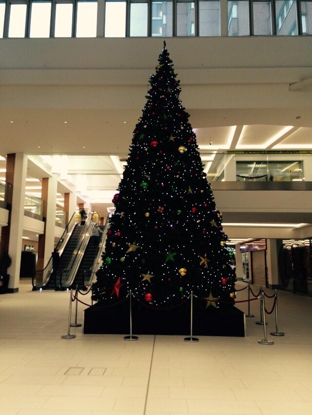 nicoleacottrell's tweet image. This makes me happy. It&apos;s nearly time to go home for Christmas 🎄🙊 #16daysandcounting