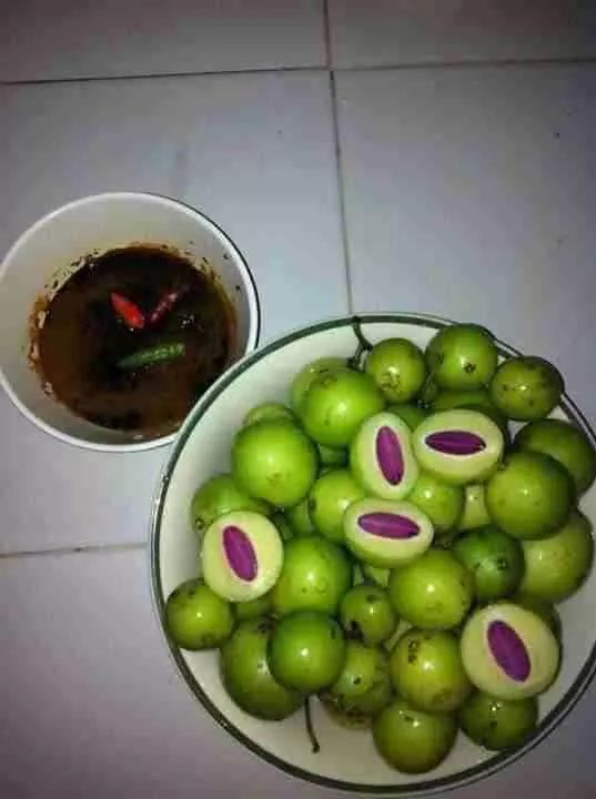 Star buah Pokok Setar