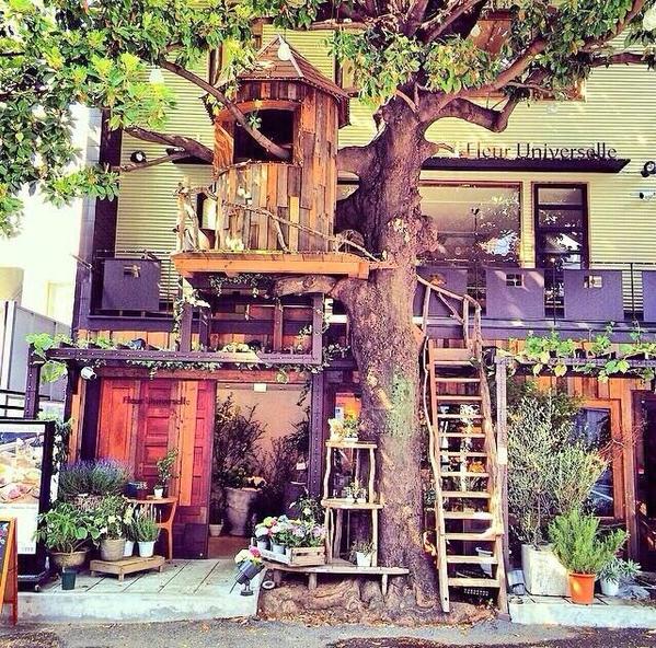 cafe_love2's tweet image. ディアシスターの撮影で 使われているカフェ 下ははお花屋さんで 上はカフェだそうです♪ 行ってみたい人RT！！！  #カフェ
#コーヒー
#コーヒー好きの人RT
#RTした人全員フォローする