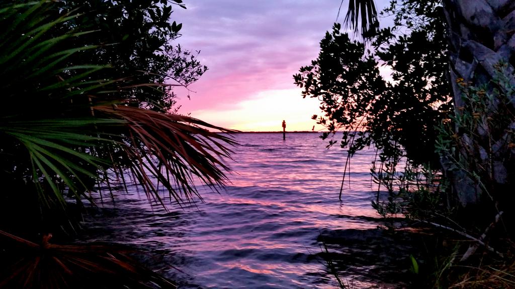 BrevardShred's tweet photo. Some "BC" sunrise, sunset & swell love. #brevardCountyshredshop #GooDStuFF #spysurf #cocoabeach #locobeach http://t.co/XeBLTDYMzv