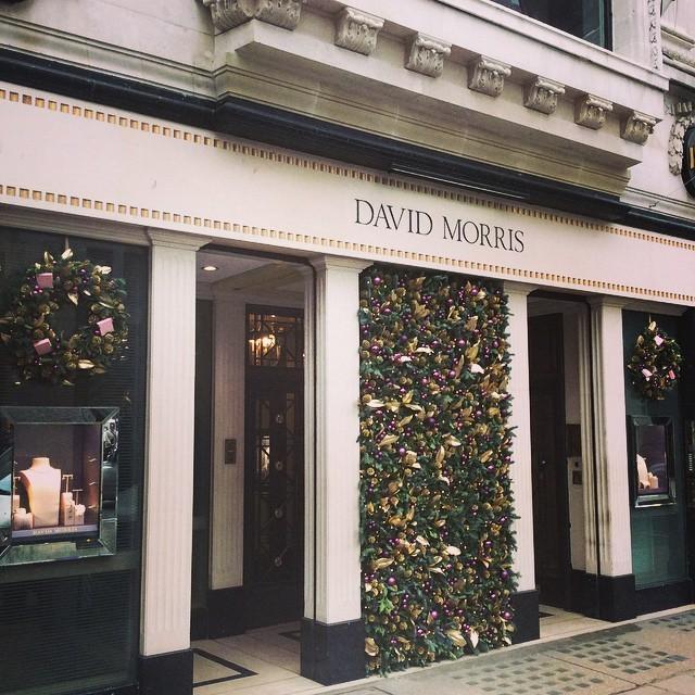 wildaboutflower's tweet photo. First client christmas install of the season for David Morris Jewellers on Bond St. #christmasinstallations  #dav... http://t.co/o6XOKqVfBk