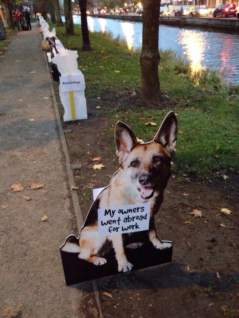 lauratherings's tweet photo. Heartbreak of a morning - think of the puppies! #canaldogs http://t.co/ZLodbQxdUh