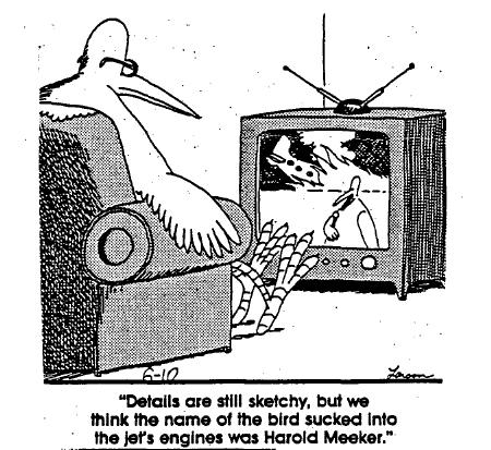 ShawnEni's tweet photo. #HowCNNWouldReport #FarSide http://t.co/sBXcRiSZls