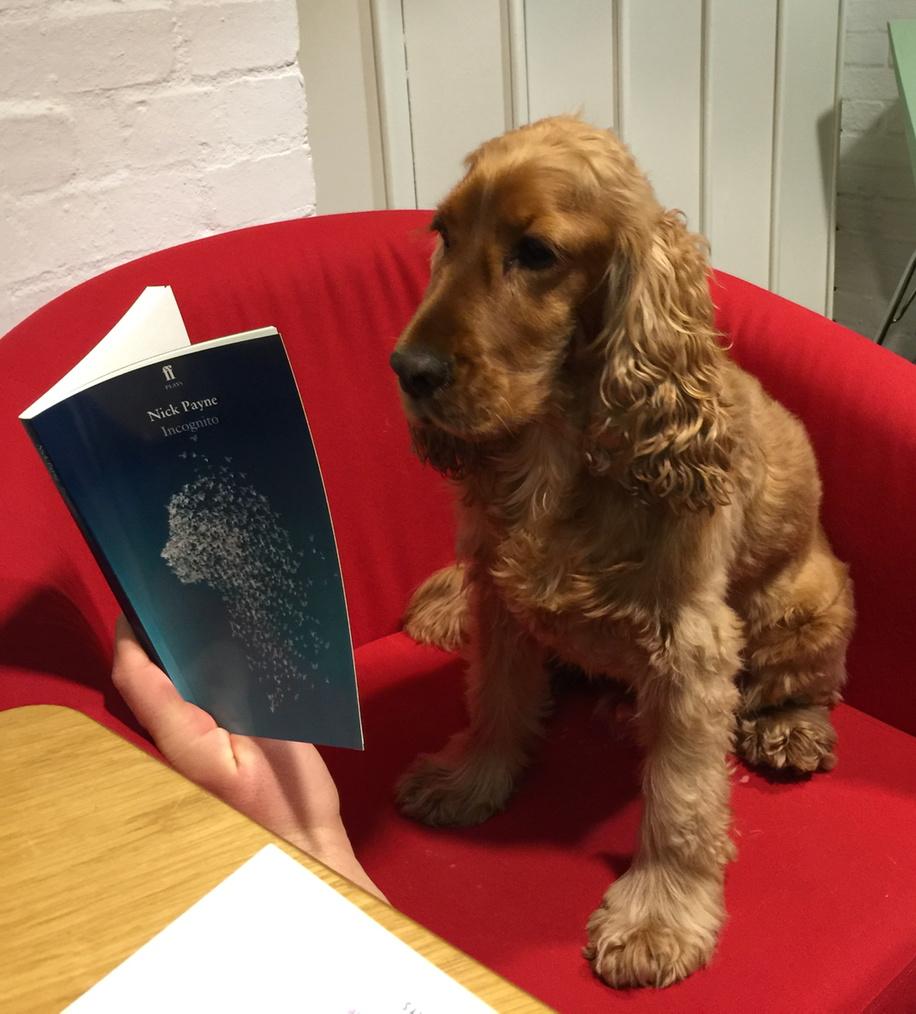 _HighTide_'s tweet photo. Happy #LoveTheatre day. #backstage Charlie discovers what happened to Einstein's brain. http://t.co/Nbr90csIrf