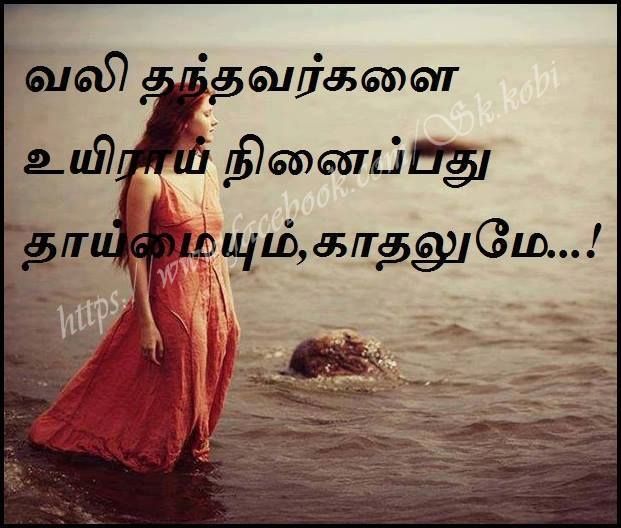 Aras Velarasu (@velarasu) on Twitter photo 