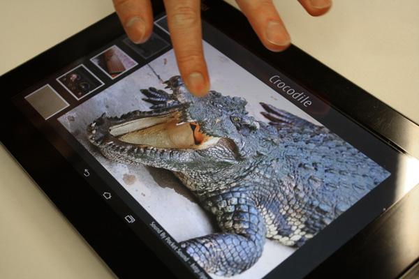 notebookitalia's tweet photo. #Tablet #Fujitsu con display #aptico a vibrazioni ultrasoniche. Primo contatto! #fujitsuforum http://t.co/OVMIMZ8Ac1 http://t.co/3tC6neoGrq