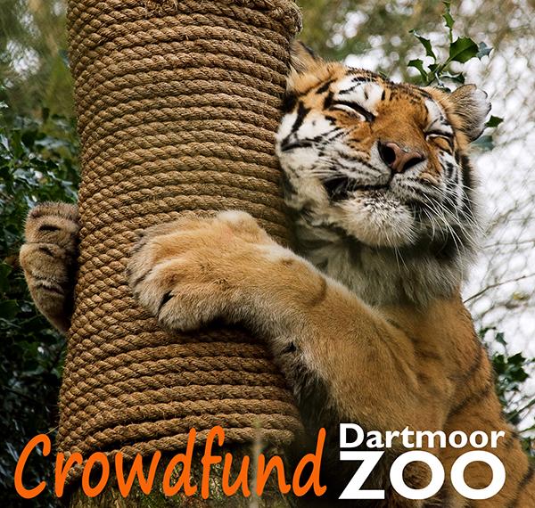 <a href="/wearesouthdevon/">We Are South Devon</a> <a href="/PeopleOfDevon/">People of Devon</a> <a href="/Devon_Hour/">#DevonHour</a> <a href="/DevonLife/">Devon Life</a> Pls support #CrowdfundDartmoorZoo &amp; RT crowdfunder.co.uk/crowdfund-dart…