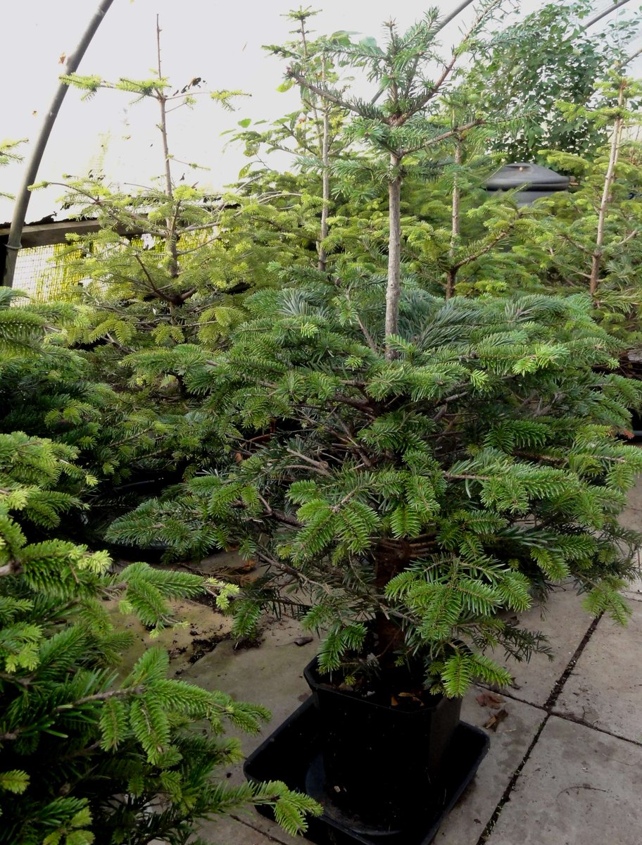 HeeleyCityFarm tweet picture