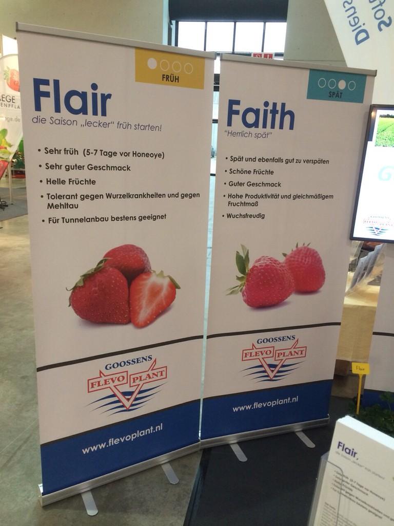 Flevoplanters's tweet photo. Today we introduced our newest variety Faith at the Expose in Karlsruhe! http://t.co/9jBAmqi02r