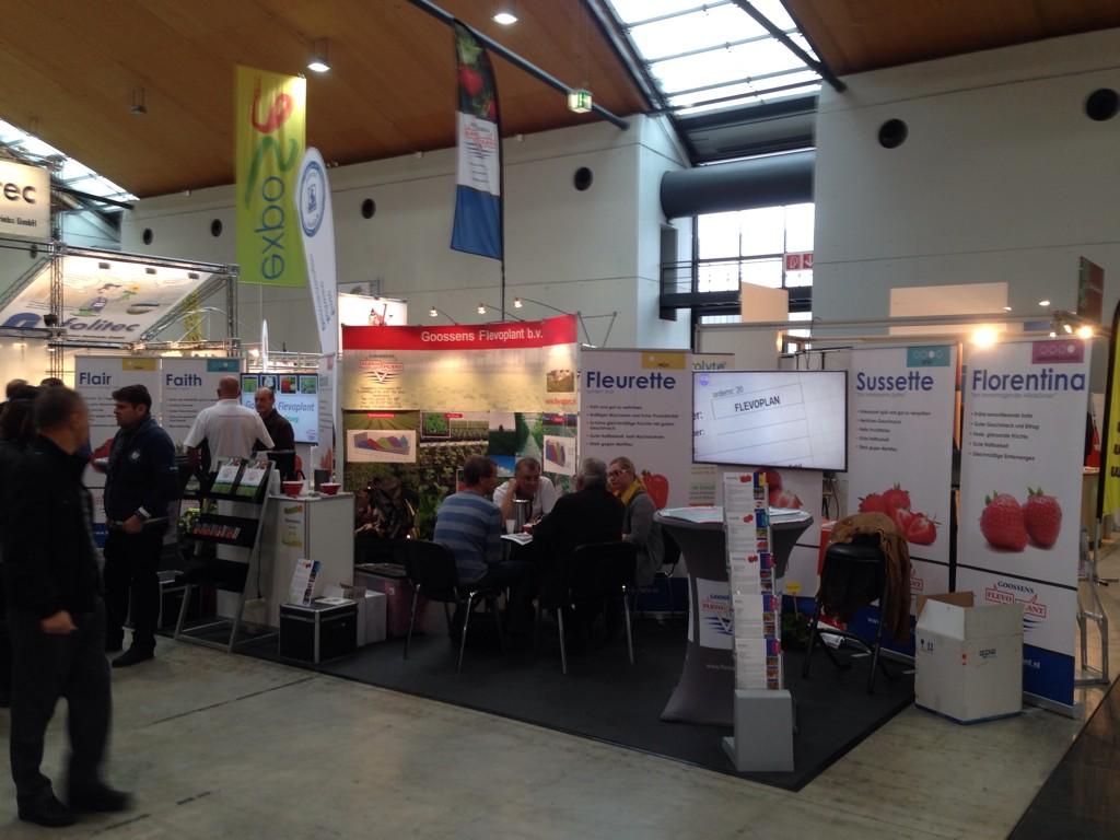 Flevoplanters's tweet photo. Today we introduced our newest variety Faith at the Expose in Karlsruhe! http://t.co/9jBAmqi02r