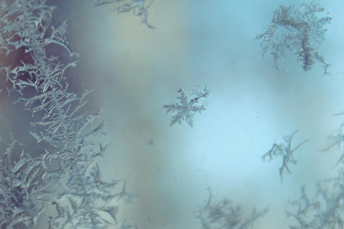 weather_th's tweet image. @CandiceTrimble: A beautifully frosty 18 degree morning here in Front Royal, Va! #finter http://t.co/FqKmGGmk40” @Ginger_Zee