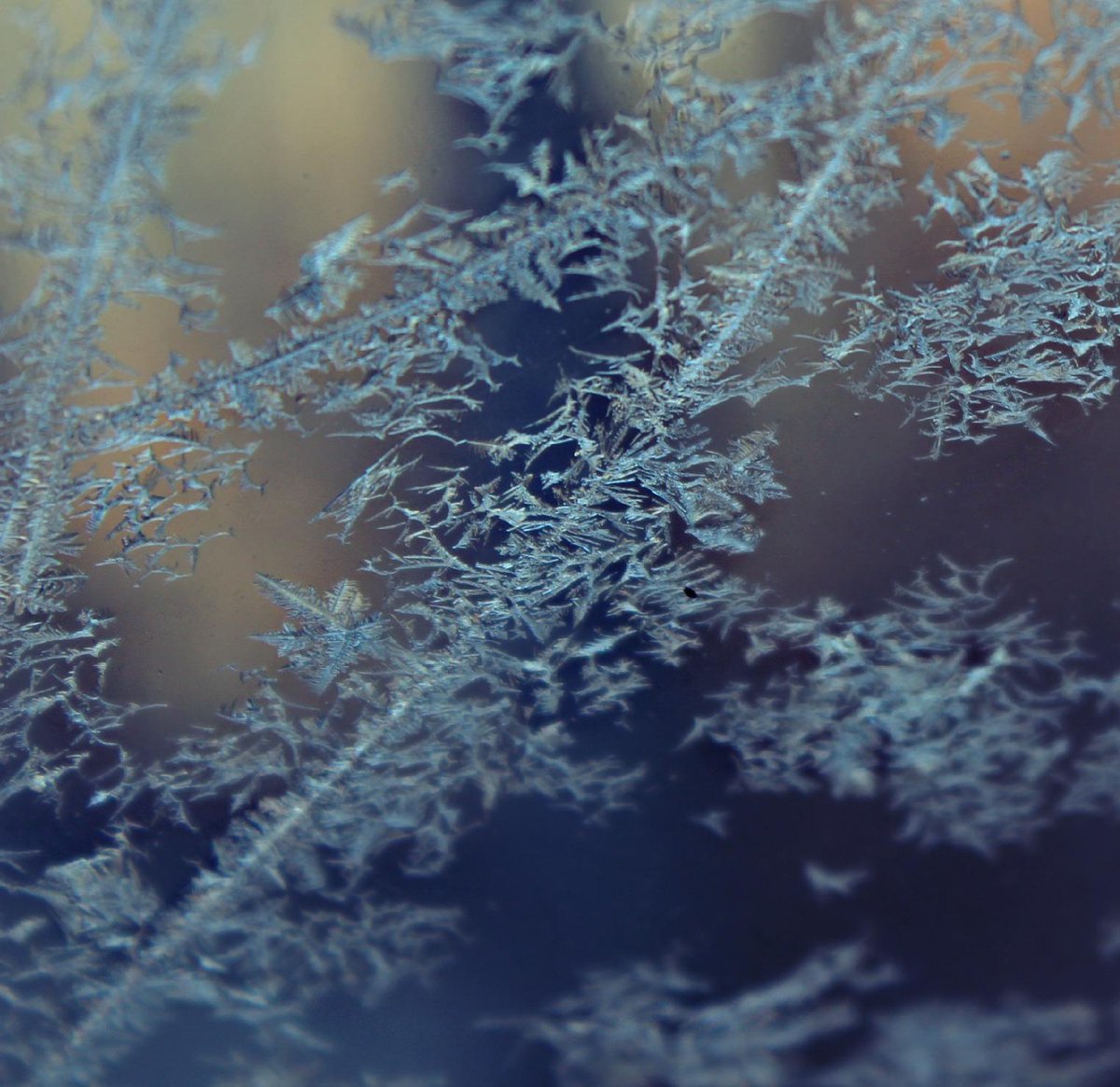 weather_th's tweet image. @CandiceTrimble: A beautifully frosty 18 degree morning here in Front Royal, Va! #finter http://t.co/FqKmGGmk40” @Ginger_Zee