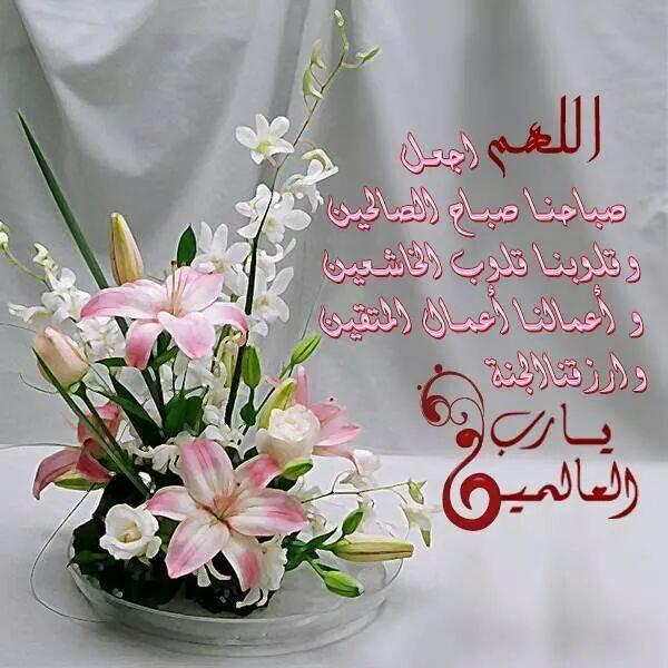 Saidfa4's tweet image. 