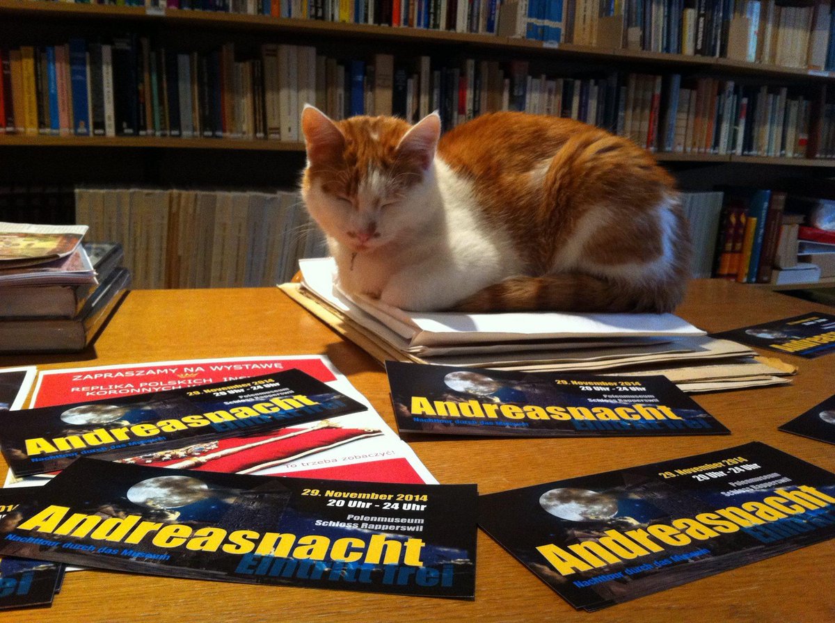 Polenmuseum's tweet photo. Good idea! Why not to take a nap before Andrew's night at the museum? ;-) https://t.co/xvSLWg3j0R @Schweiz http://t.co/HipMSOGlhY