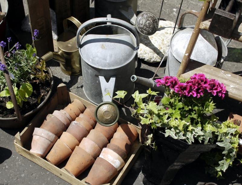 Rappel des 10 gestes #jardinage à faire d'ici la fin du mois pour un hiver serein! wp.me/p3ZxsC-N0