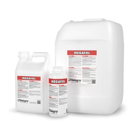 ValagroGroup-Br tweet media