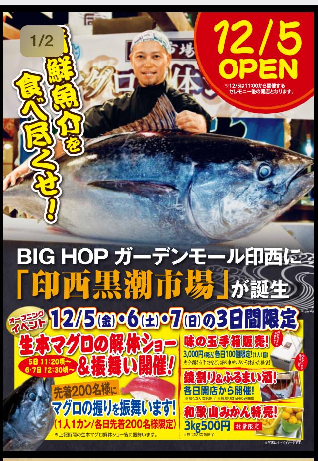 コジマ 3408 Ipusamu Twitter コジマ 3408 Ipusamu Twitter