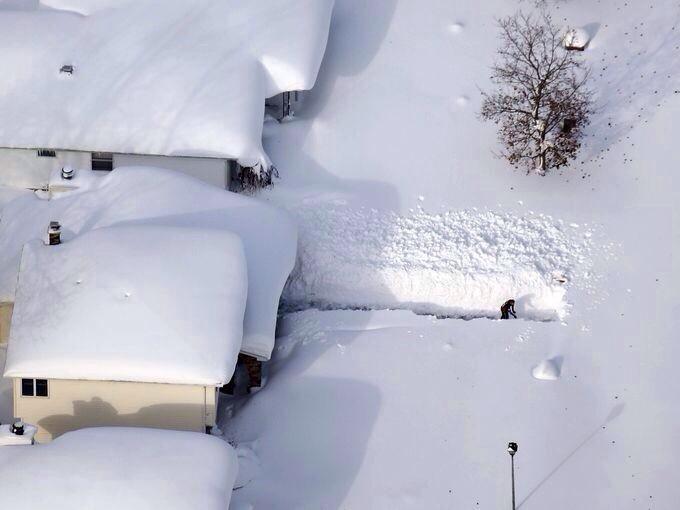 Whenthebae_'s tweet photo. #WhenTheBae says they home alone but they live in Buffalo... #Bae http://t.co/FVvYhwqNnL