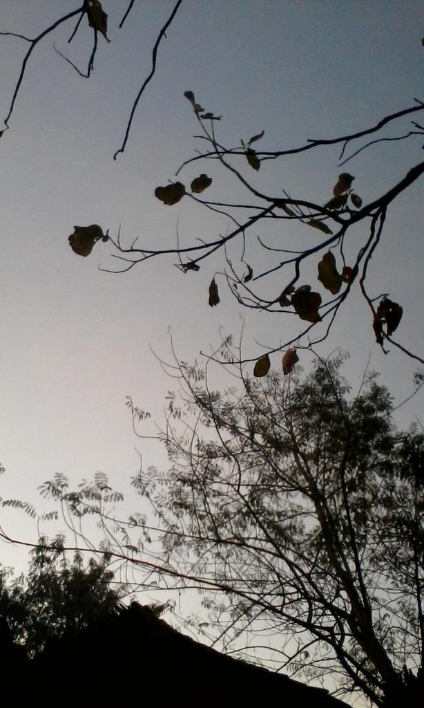 martins0473's tweet photo. The sky in the world http://t.co/UNyTT1kQt0