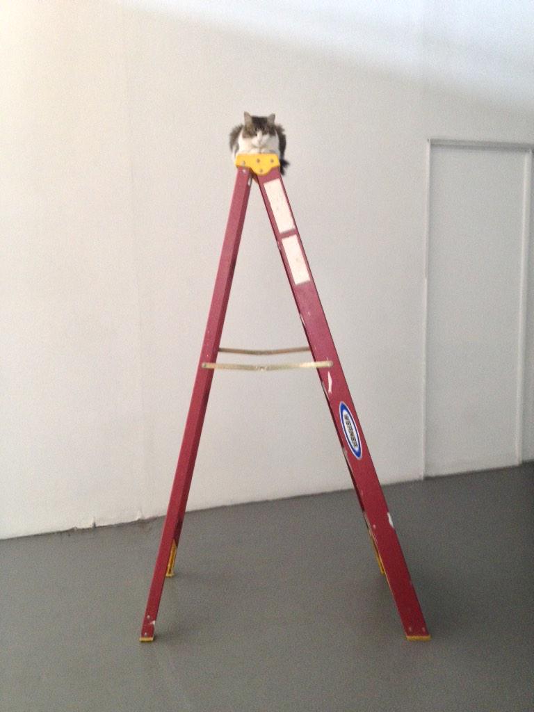 Groundspace_Prj's tweet photo. Getting ready to install the Groundspace  Project Holiday Art Show! http://t.co/TvnUssraGi