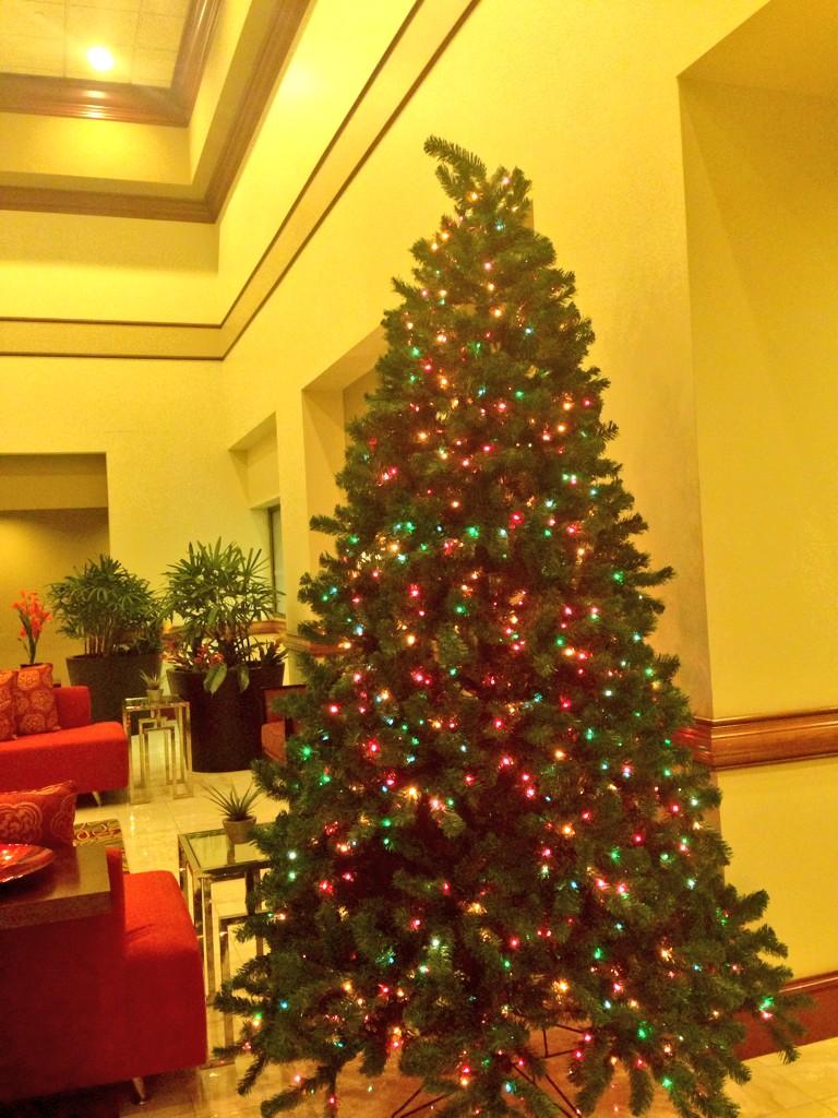 It's beginning to look a lot like Christmas!