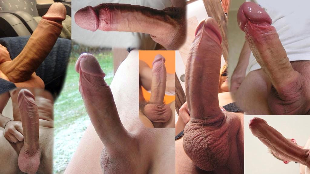 Huge cocks to worship