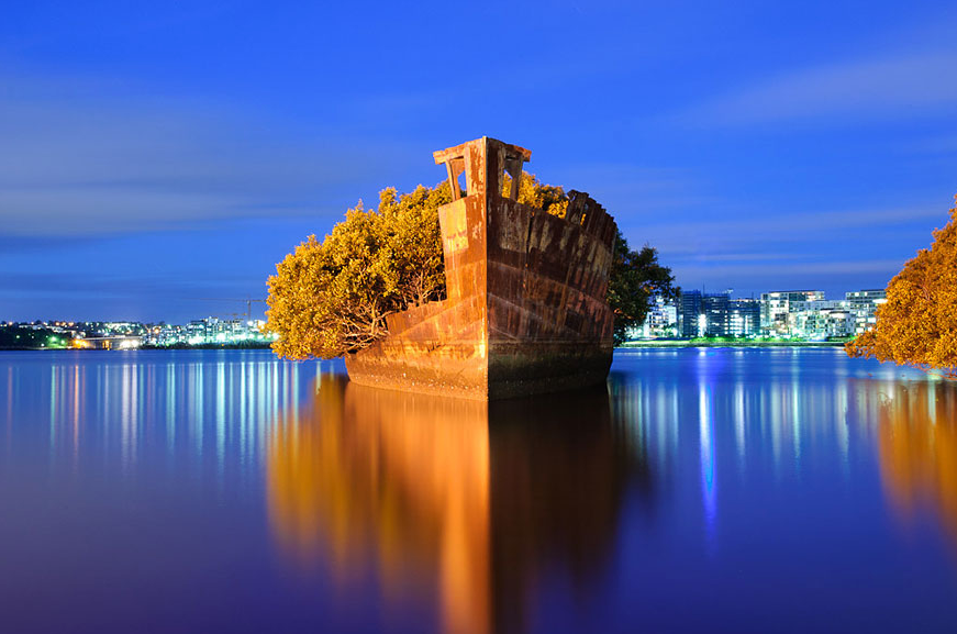 CEO_bM's tweet photo. 102 year old ship in Sydney now a floating forest... http://t.co/iZttxP5AaJ