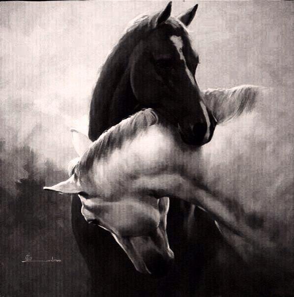 22_glay's tweet photo. الأصيلة مالها غير الأصيل

طيب ساس وطيب جاه ومنسبِ http://t.co/qLGdEgn1FO