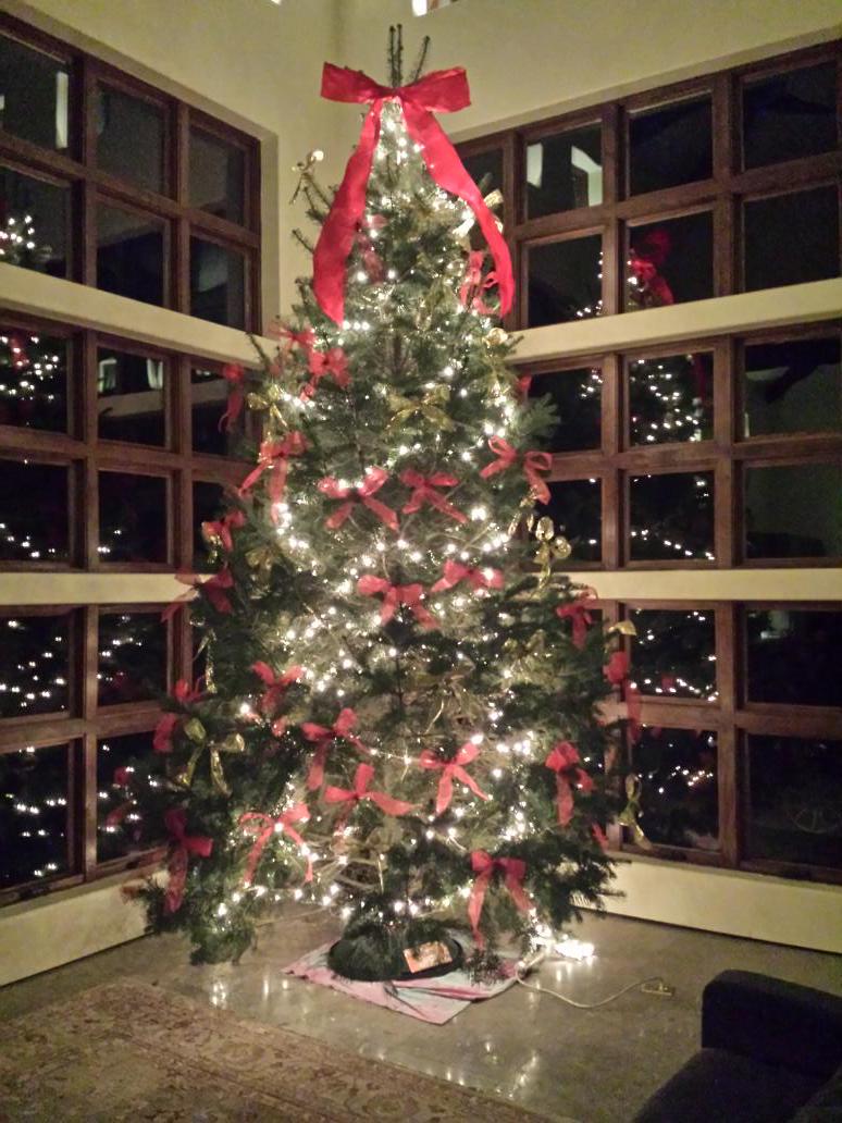 GraciannaWinery's tweet image. 16ft of #ChristmssTree #gratitude. #Justfinished