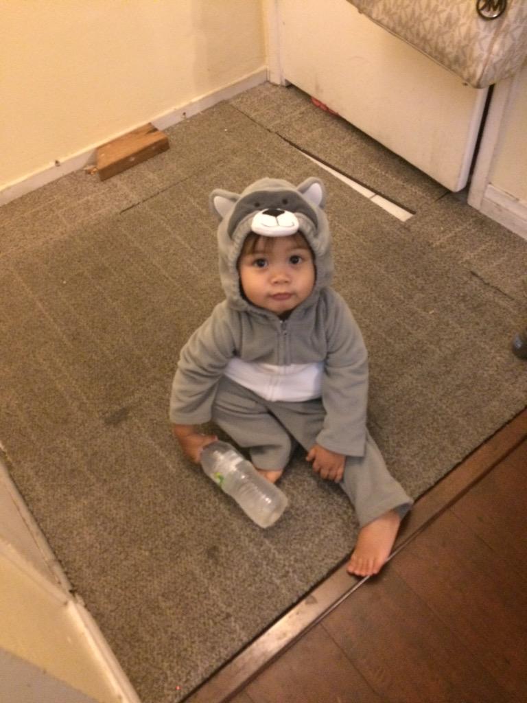 niko_del_rey's tweet photo. A cat wanders into our dressing room and a raccoon walks into our rehearsal #FillyProblems http://t.co/5OK4mmuPgR