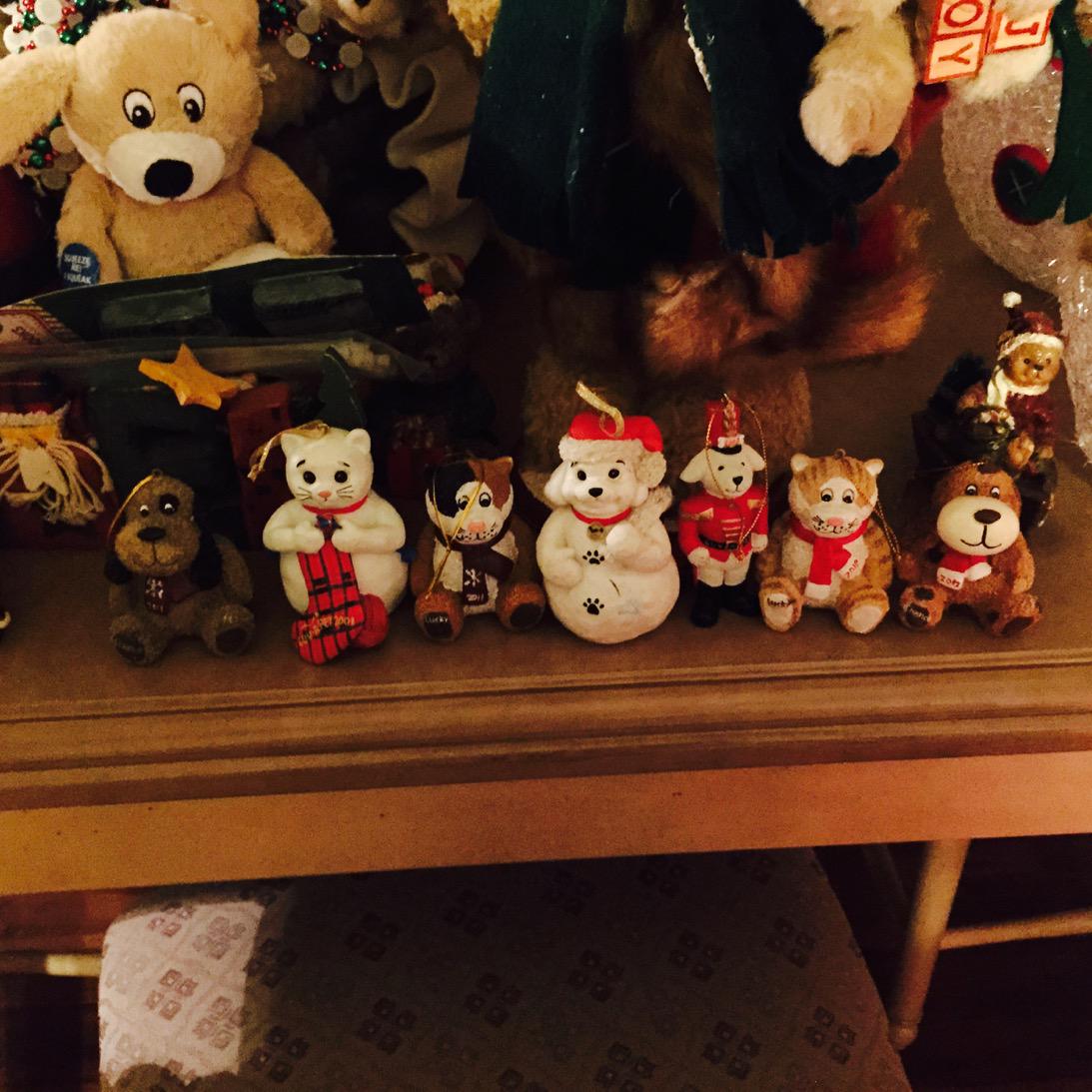YbarraAol's tweet photo. These past years are waiting to go in my house for Christmas love my luv a pet ornaments http://t.co/GghlXmJ0YS
