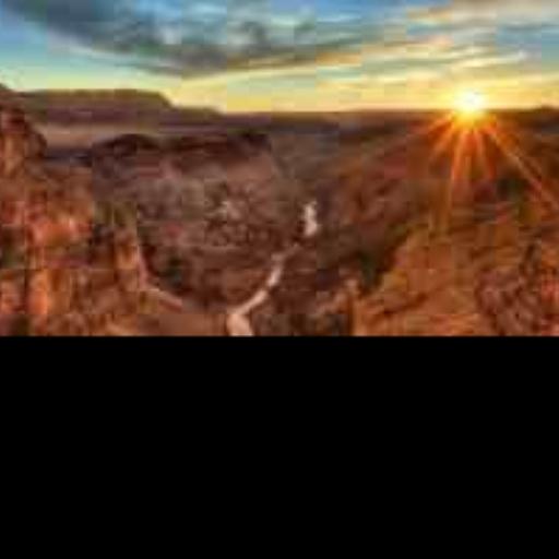 wiseluvcei2 tweet picture