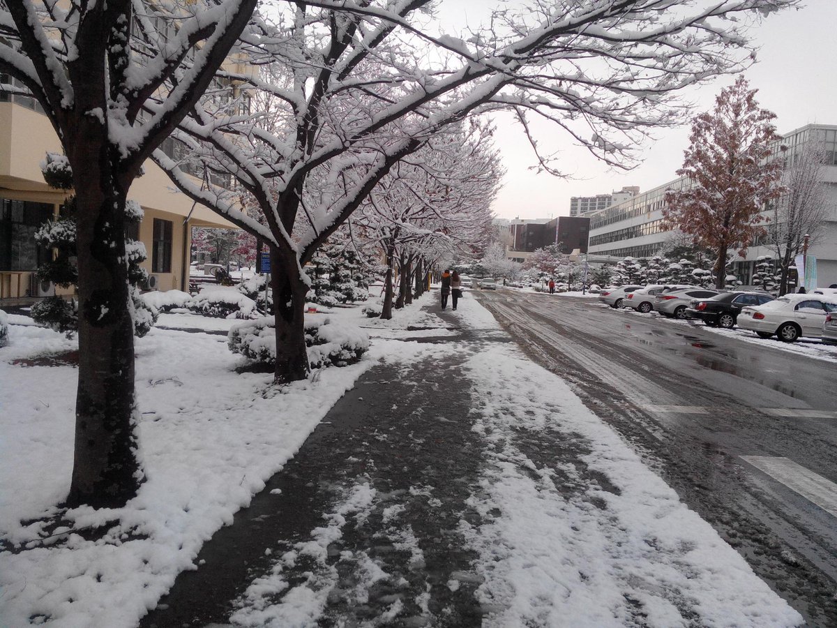 Ustadz Mafrur Twitteriss Korea Snow Salju Winter